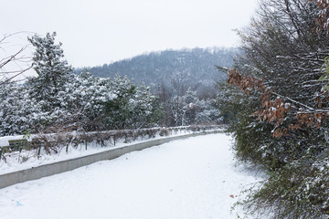 岳麓山雪景