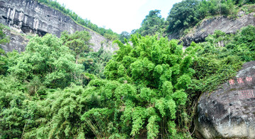 武夷山风光