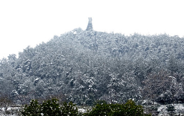 雪映竹海