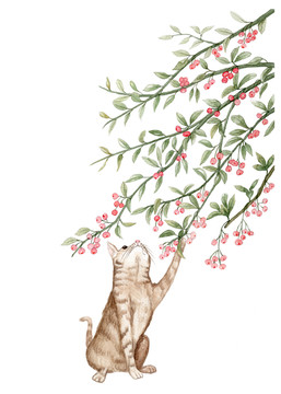 休閑貓