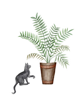 植物与猫