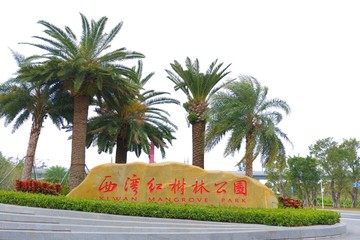 西湾红树林公园