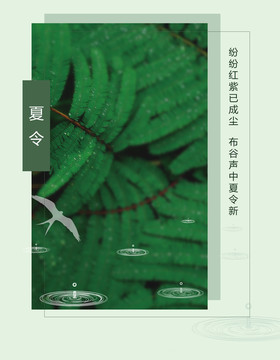 清晰翠綠立夏手機(jī)海報