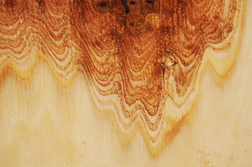 木皮底纹