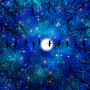 藍(lán)色高清樹影星空宇宙裝飾畫