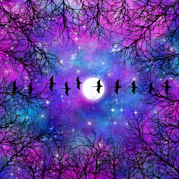 高清樹影星空宇宙裝飾畫