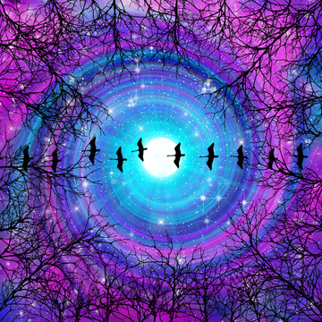 高清樹影星空宇宙裝飾畫