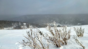 东北雪乡