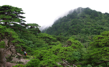 群峰竞秀