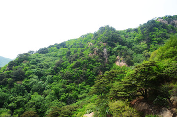 千山龙泉寺景区连绵山峰