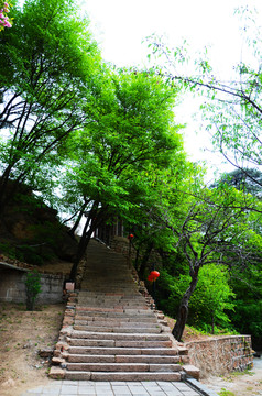 千山龙泉寺石阶路