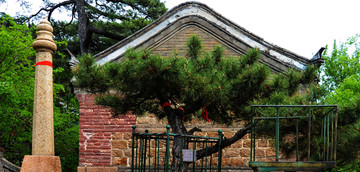 千山龙泉寺镇山宝杵与石白松