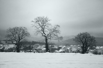 江南雪景