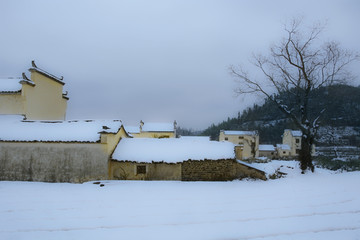 雪村