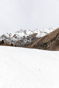 鹧鸪山滑雪场
