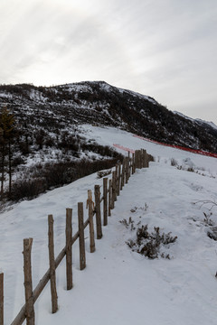 鹧鸪山滑雪场