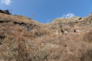 甘堡藏寨的山坡