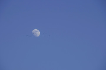 月亮挂高空