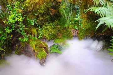 鱼缸造景