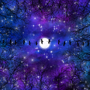高清唯美星空裝飾畫