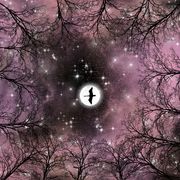 高清宇宙星空裝飾畫(huà)