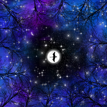 高清宇宙星空裝飾畫