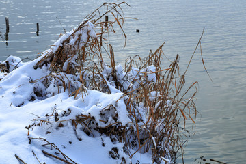 雪景