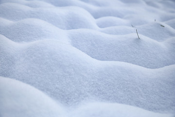 雪景