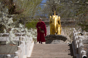 青海西宁塔尔寺