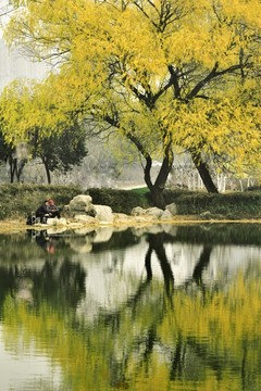 深秋湖泊池塘景色