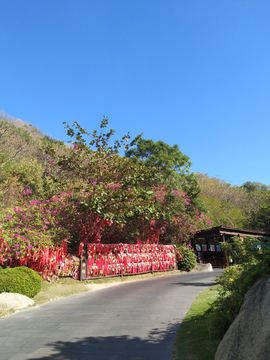 大小洞天风景