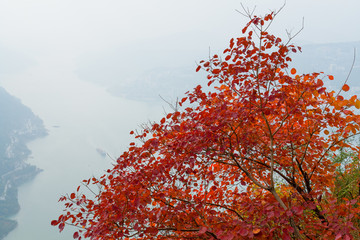 巫峡风光巫山红叶