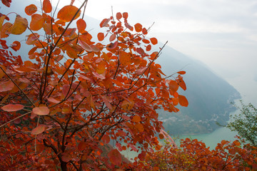 巫峡风光巫山红叶