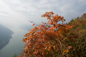 巫峡风光巫山红叶