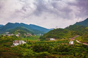 青杠坡村风光