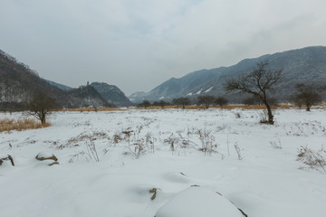 冬季大九湖