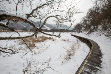 冬天大九湖