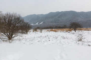 冬季大九湖