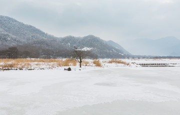 冬天大九湖