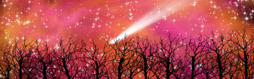 高清樹影星空裝飾畫