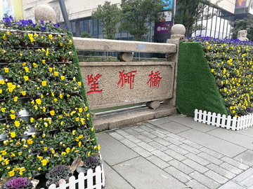 绿植设计