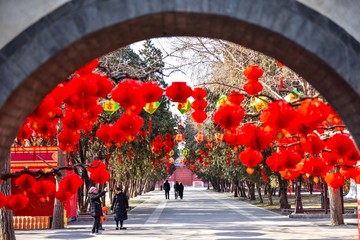 地坛红灯笼