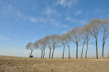 大漠荒野风景画