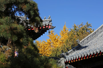 秋日长安寺