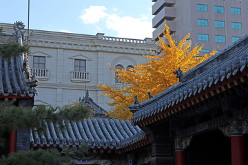 秋日长安寺