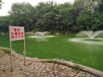 池塘警示牌