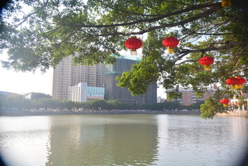 中堂文化广场灯笼