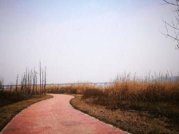 郊野湿地公园