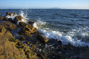 浪花