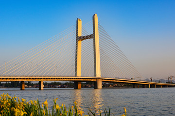 泗河大桥